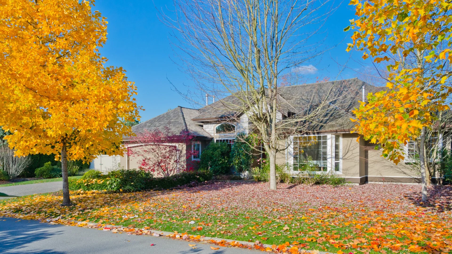 Is Leaf Removal Bad for Your Lawn’s Health?