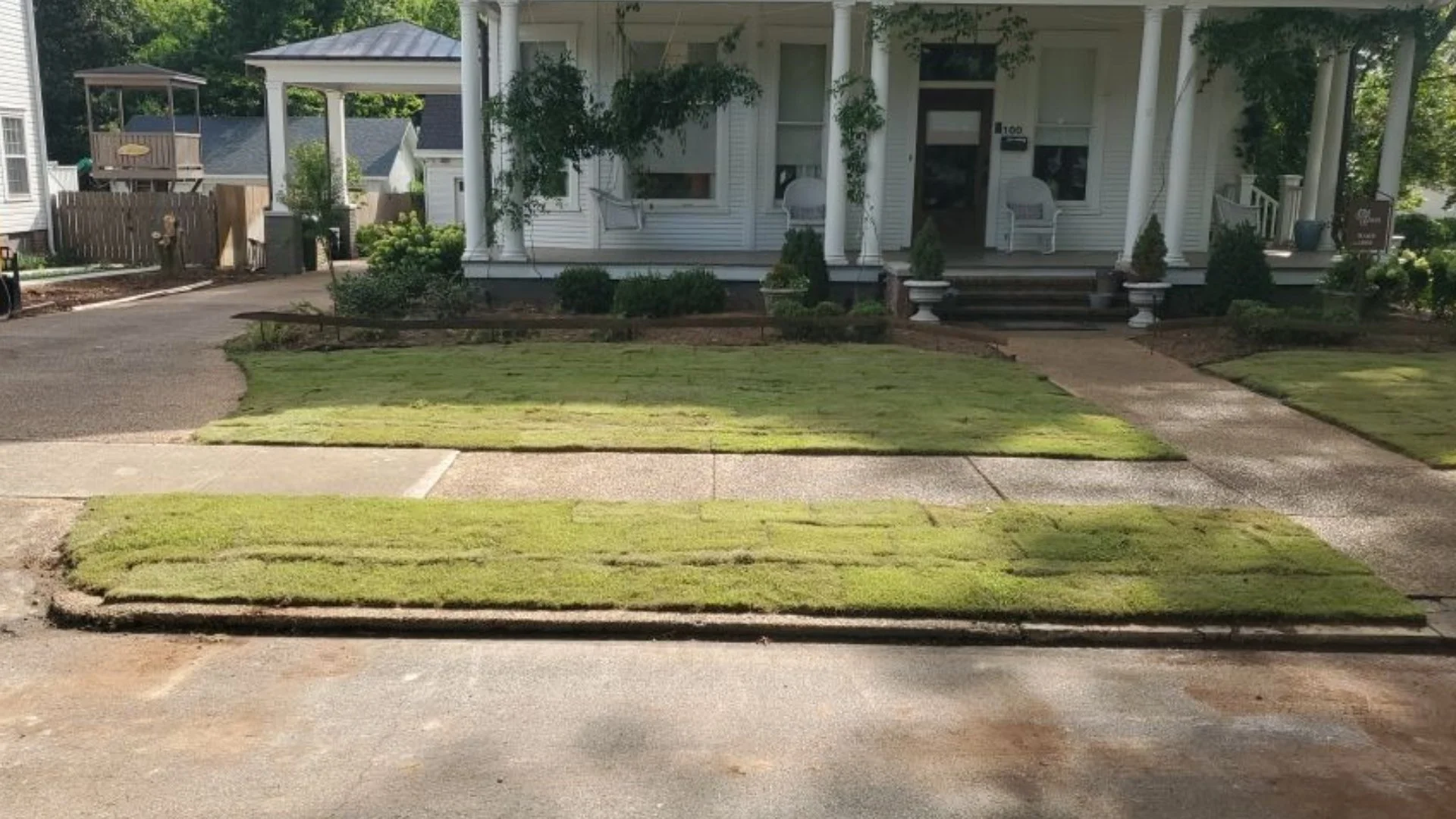 How Much Water Does New Sod Need?