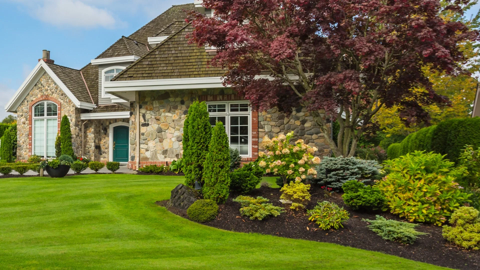 Do Your Plants Need Pruning? Here's How to Tell