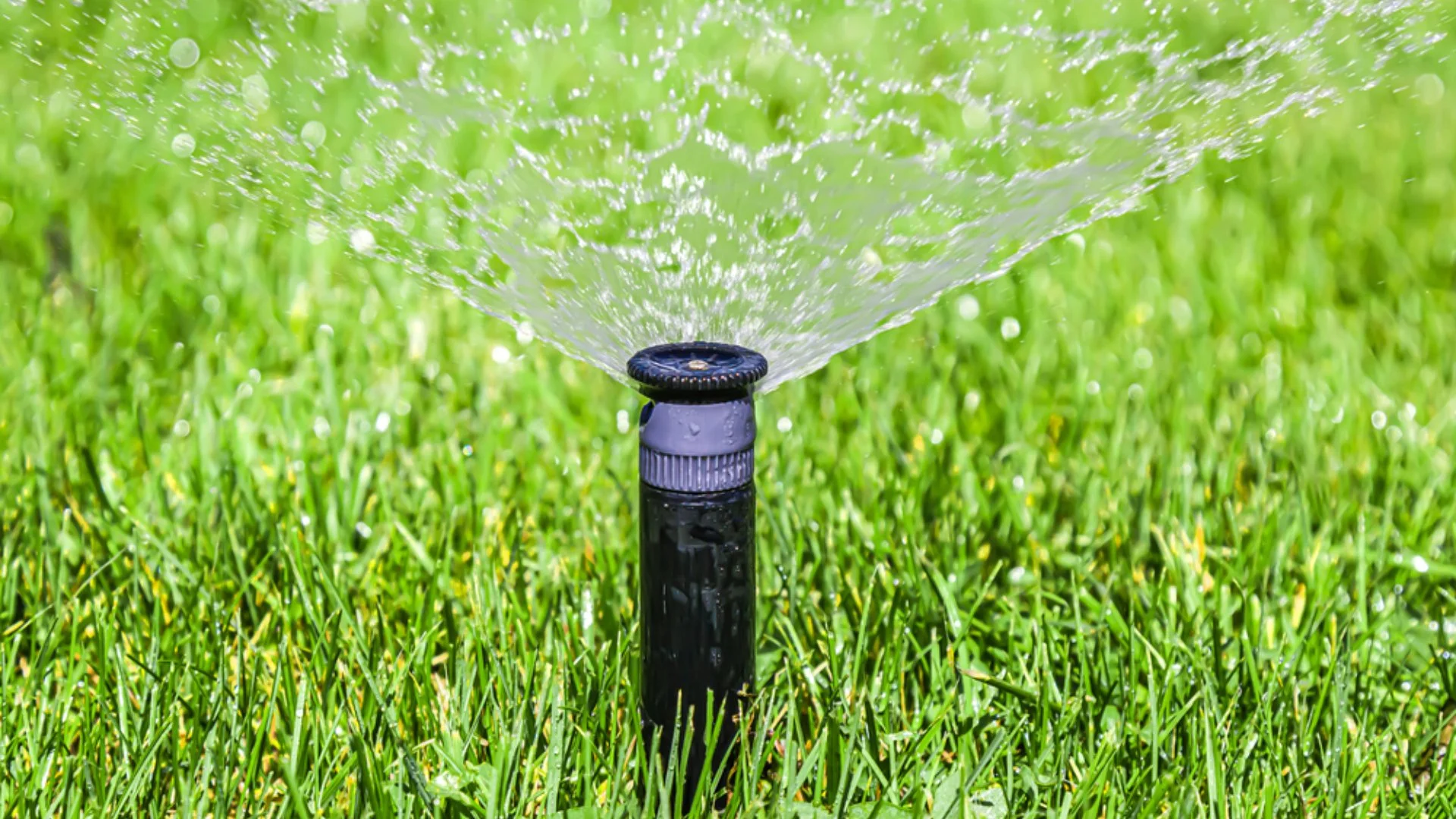 Smart Irrigation Systems: A More Efficient Way to Water Your Vegetation