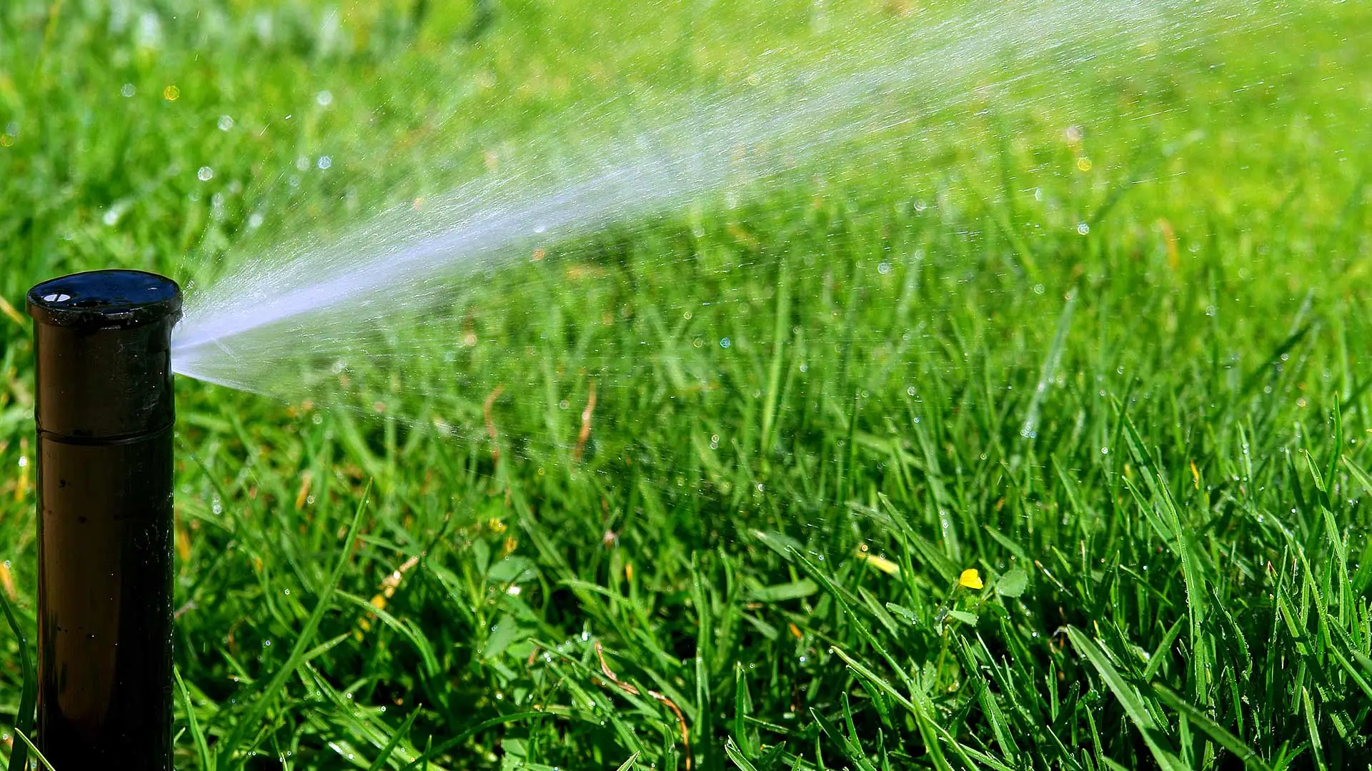 Irrigation sprinkler watering a lawn in Winchester, TN.