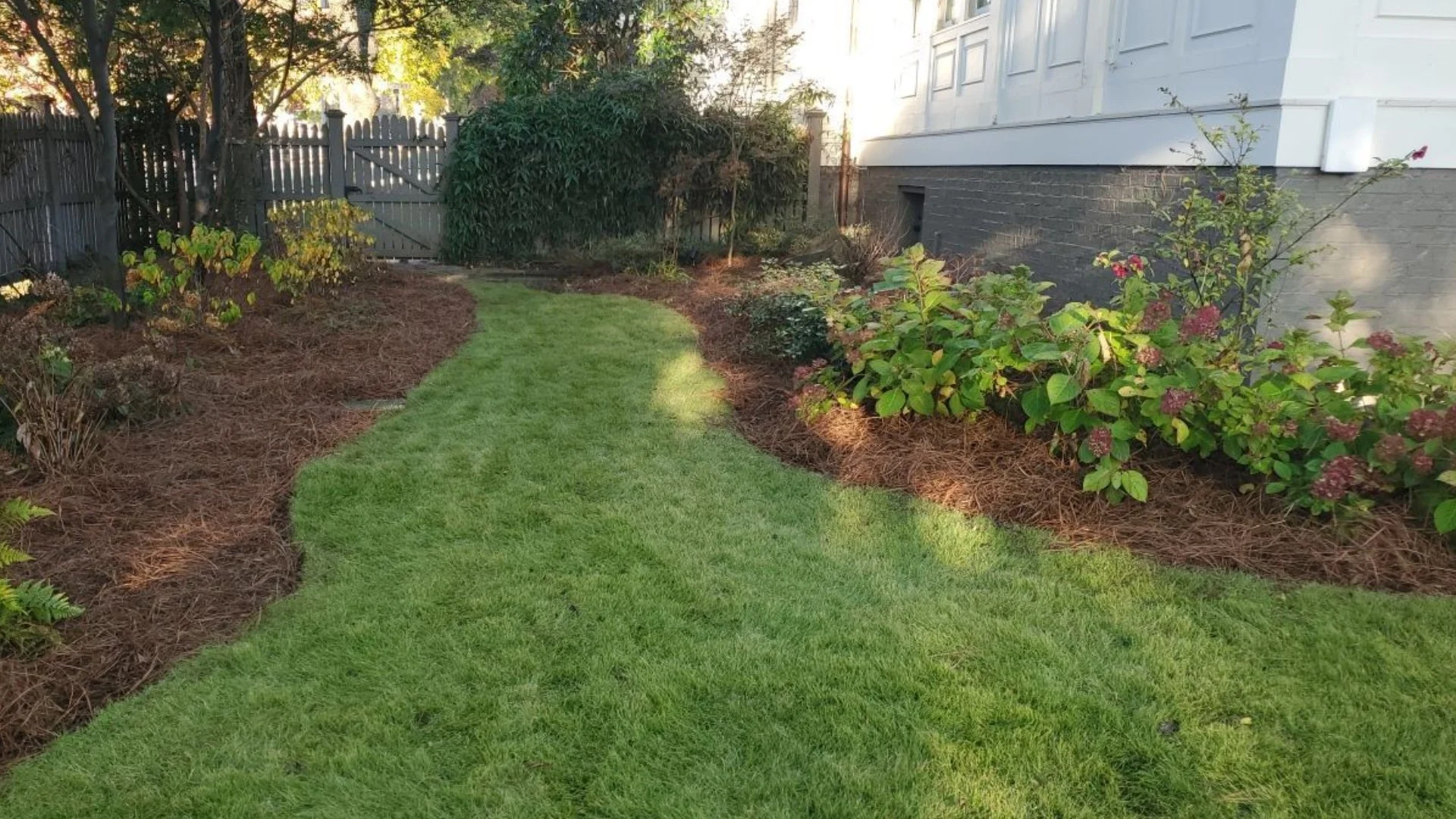 4 Things You Can Do To Upgrade Your Landscape Beds & Increase Curb Appeal