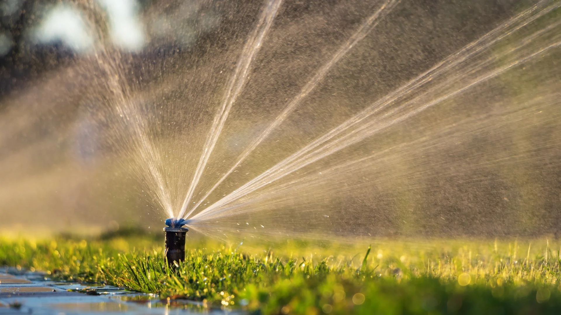 What Affects the Cost of Installing an Irrigation System?