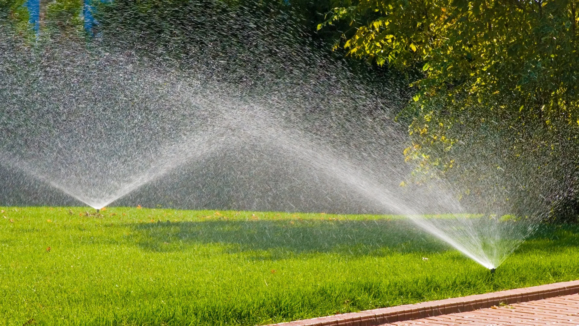 Is It Easy to Install an Irrigation System Yourself?