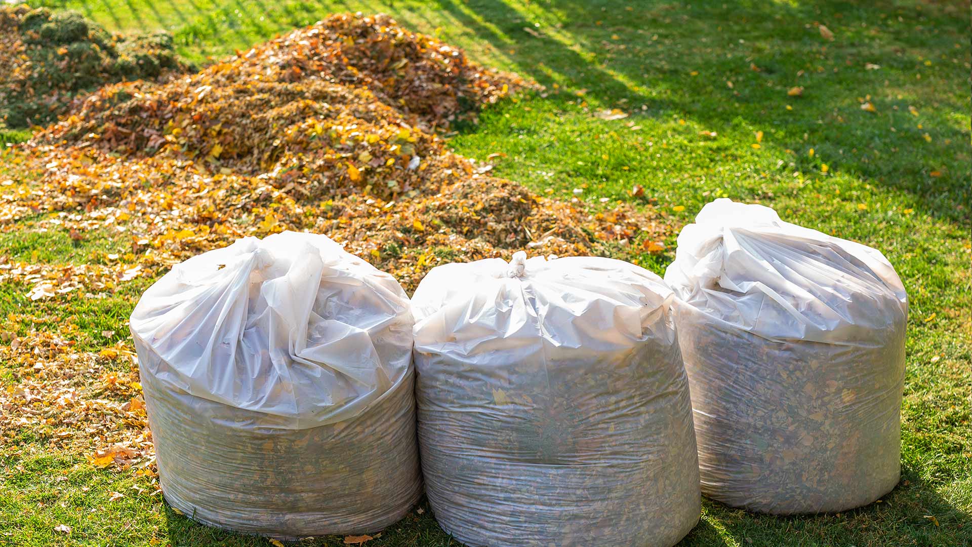 Leaf piles in bags ready to be hauled away in Meridianville, AL.