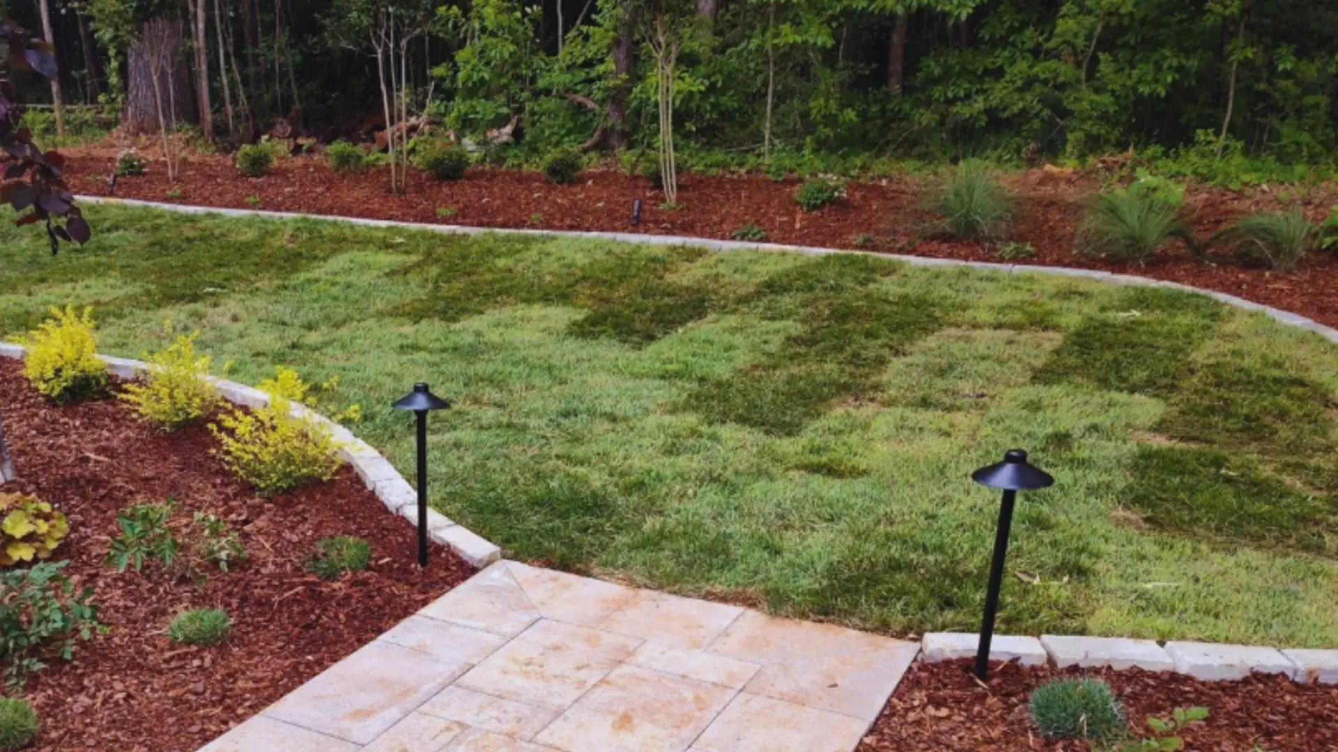 How Much Will It Cost to Have Sod Professionally Installed?