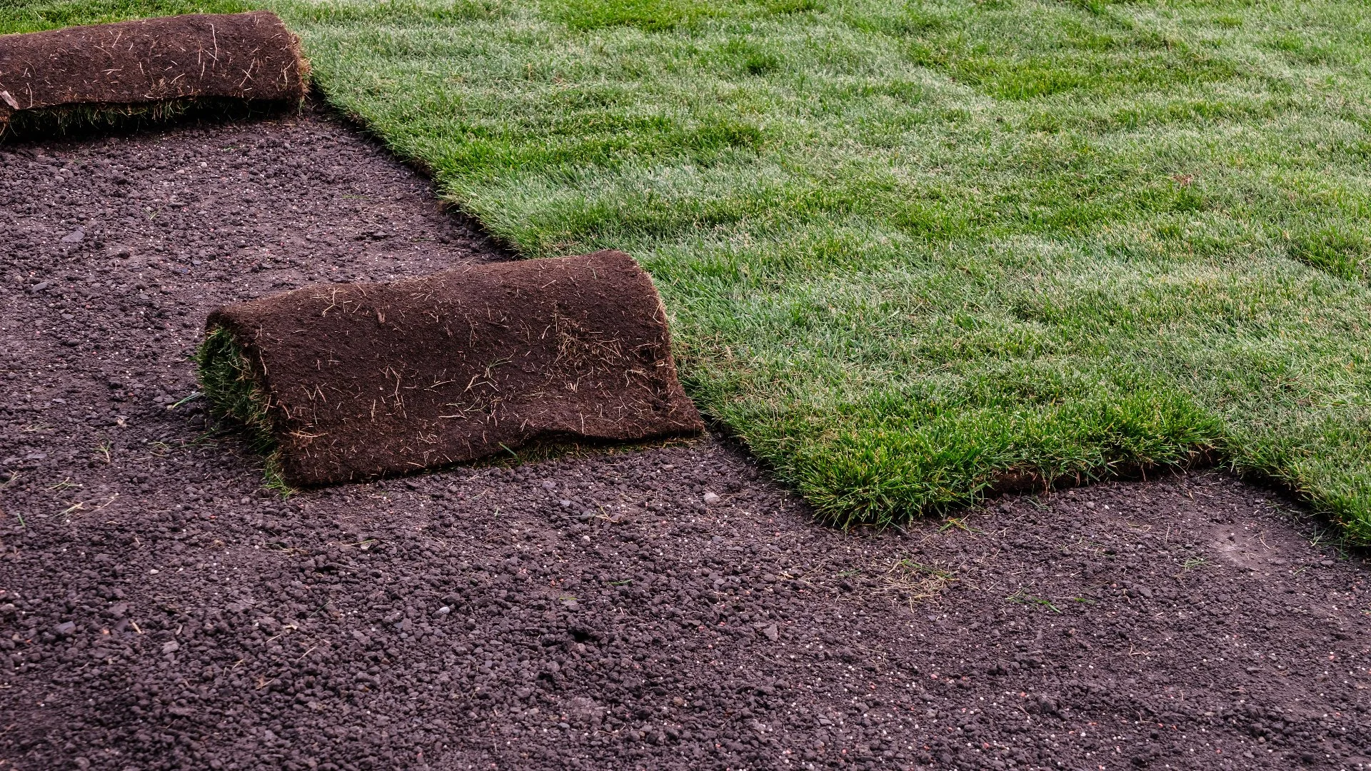 Can Sod Really Give You an Instant Lawn?
