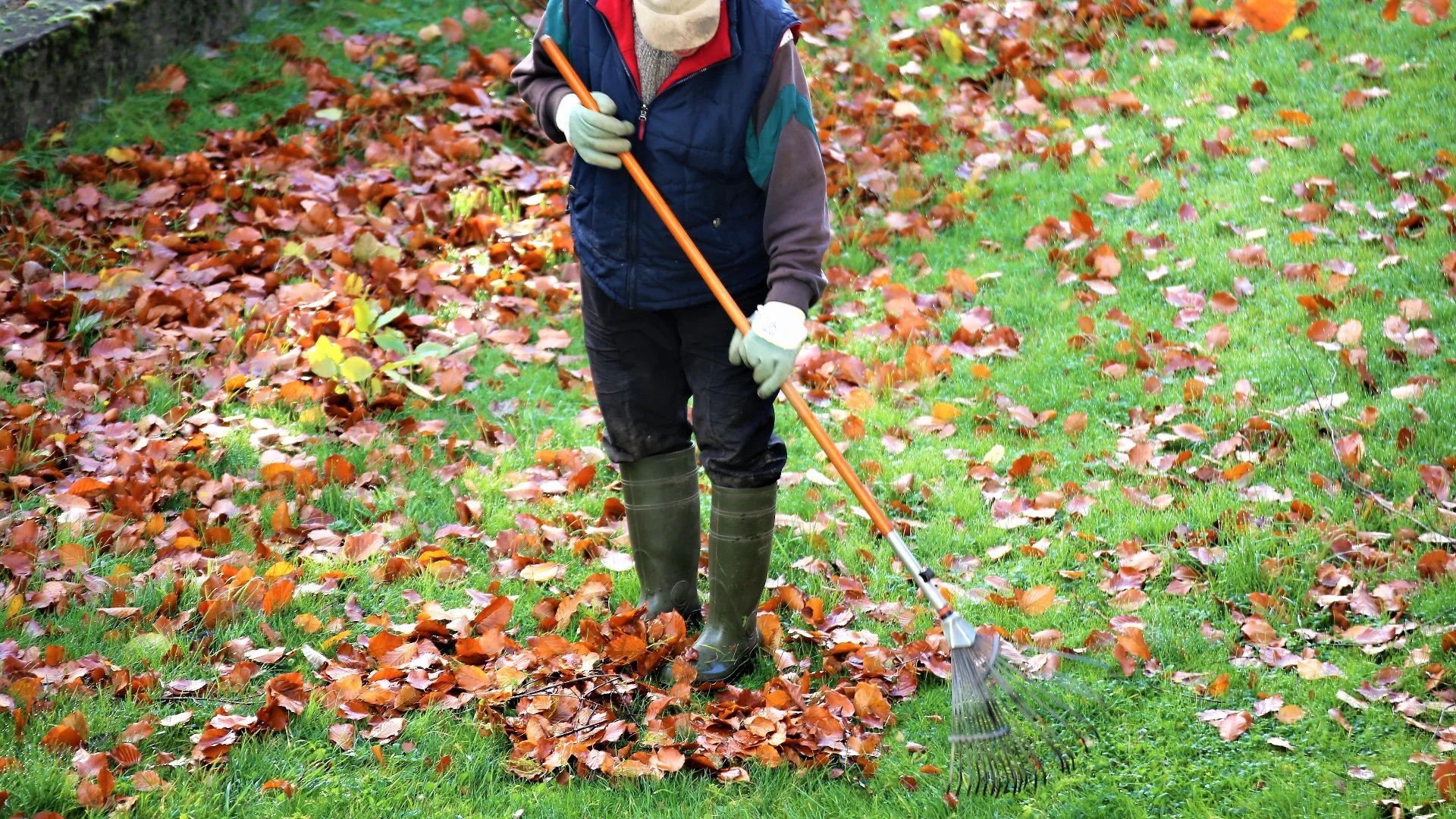 Follow This Checklist in the Fall to Winterize Your Yard