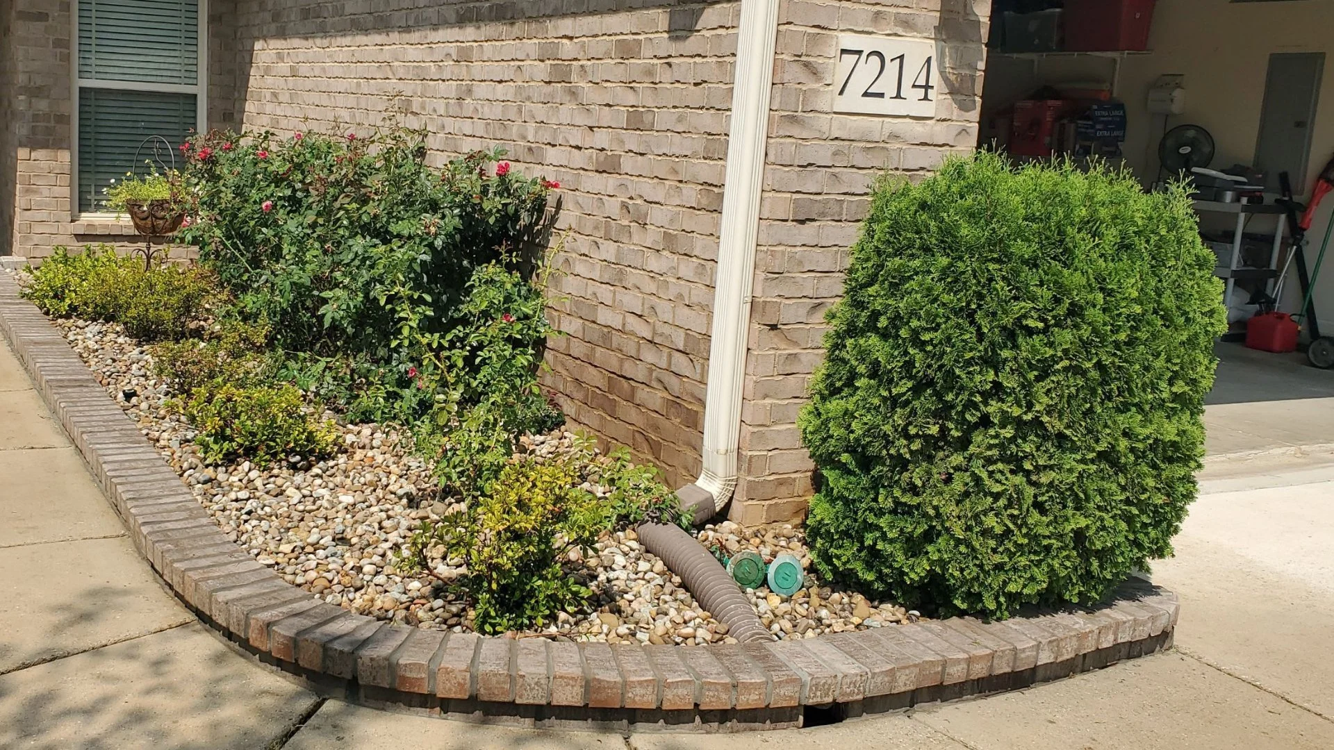 The Negative Impacts of Over-Pruning Your Plants