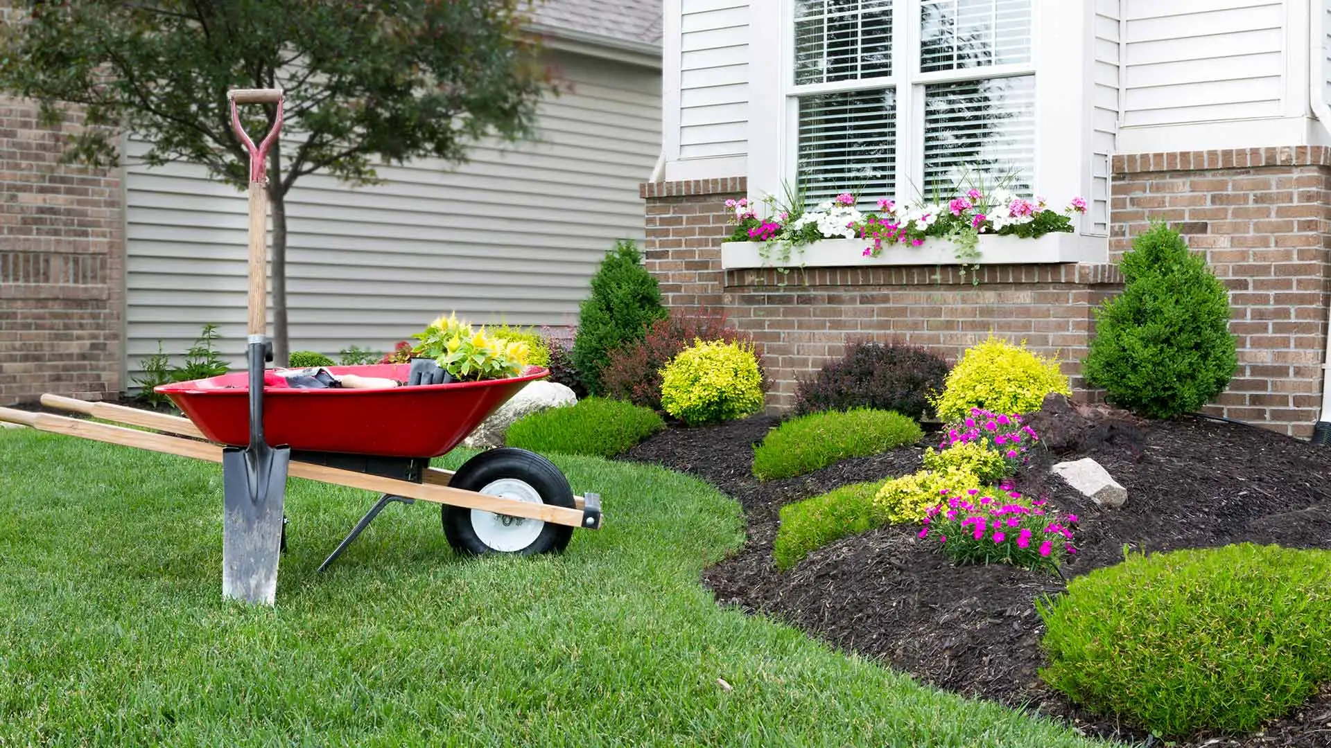 A shovel and wheelbarrow beside landscape bed in Fayetteville, TN.