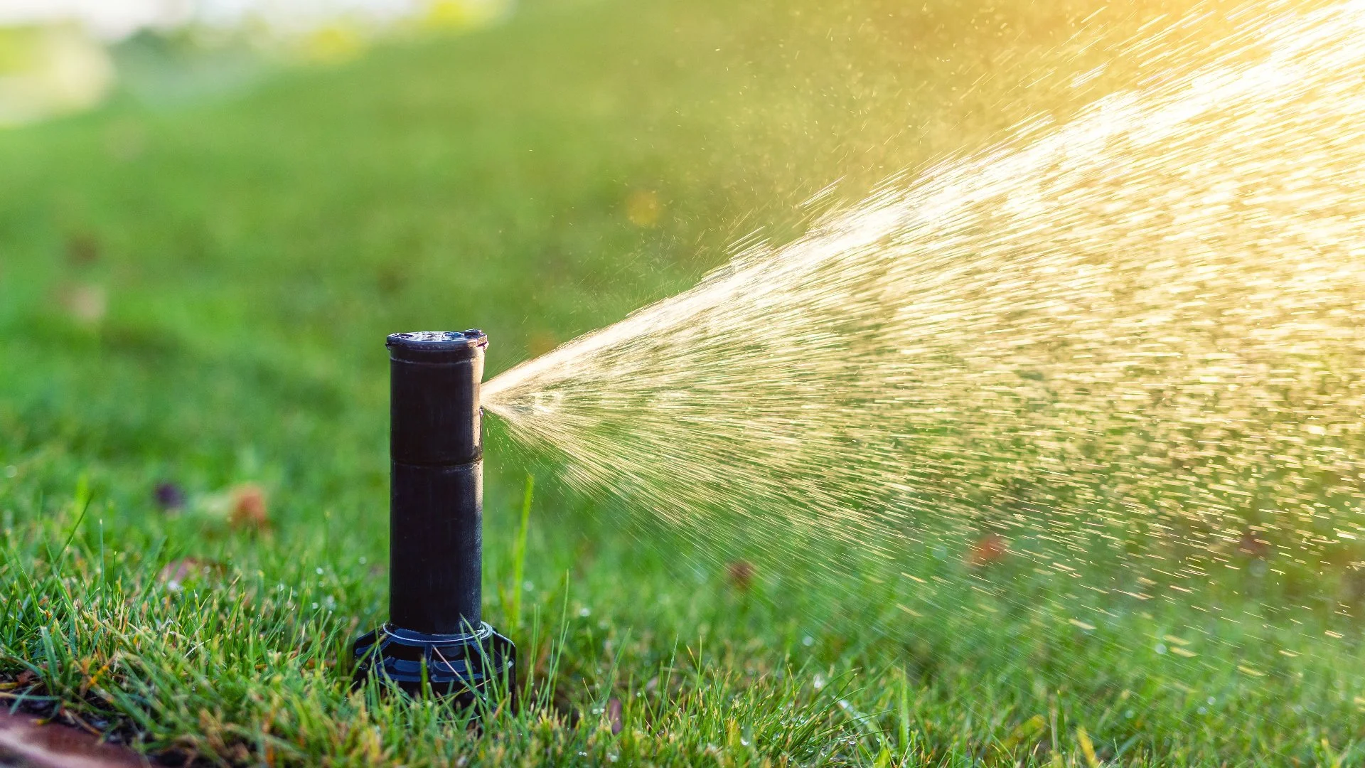 Common Causes of Low Water Pressure in Irrigation Systems
