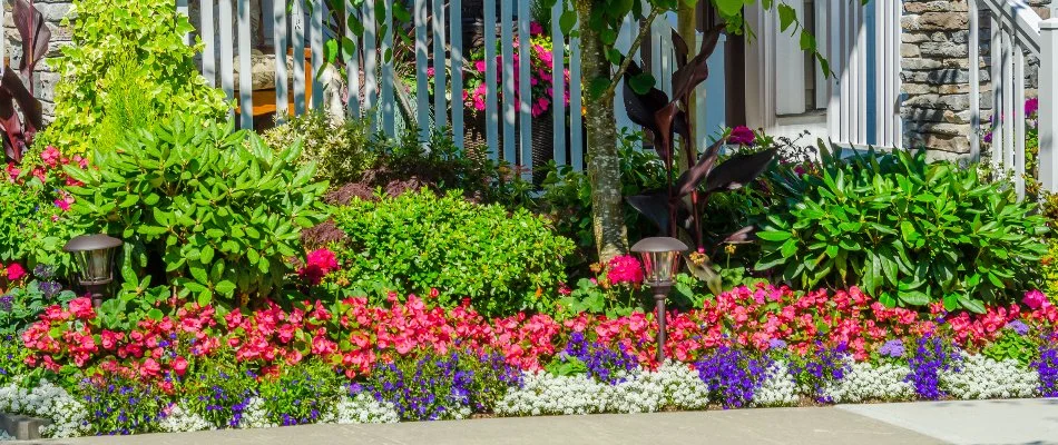 A landscape bed in Huntsville, AL, with various vibrant, colorful flowers.
