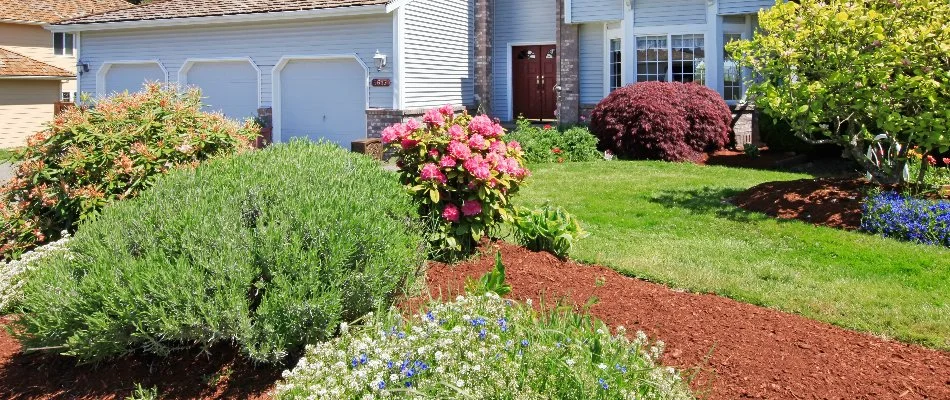 Front yard in Huntsville, AL, with plant beds.