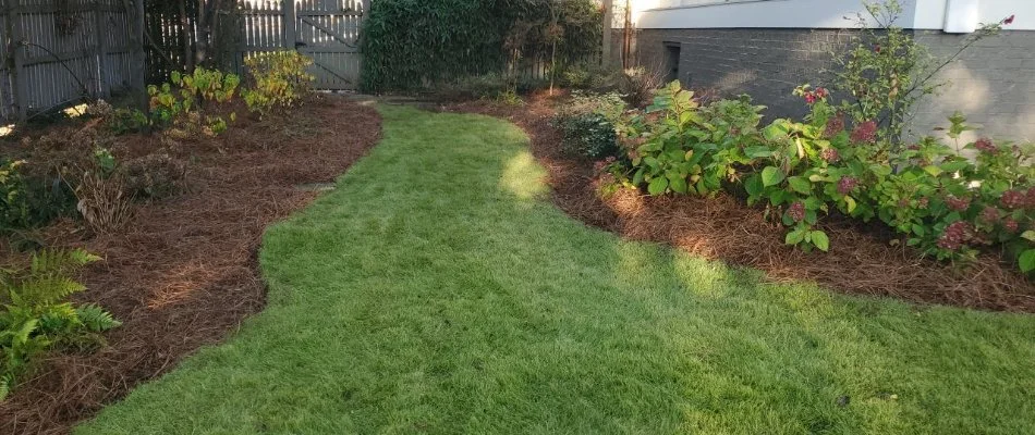 Landscape in Huntsville, AL, with mulch and plants.