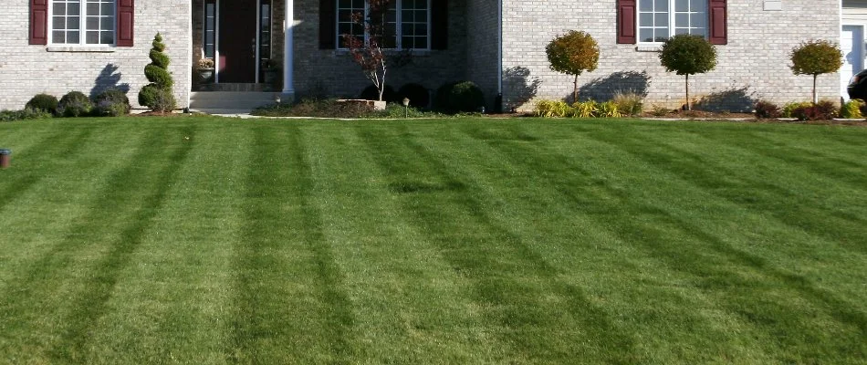 Mowed lawn and landscape plants in Huntsville, AL.