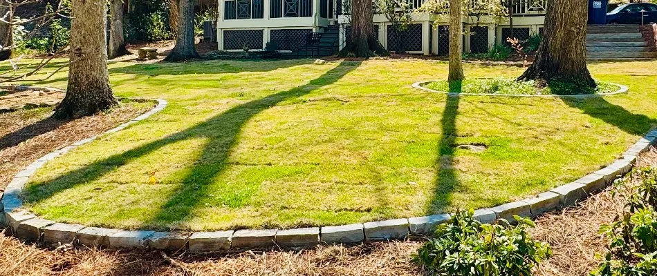 Newly installed sod in Huntsville, AL, with tree trunks.