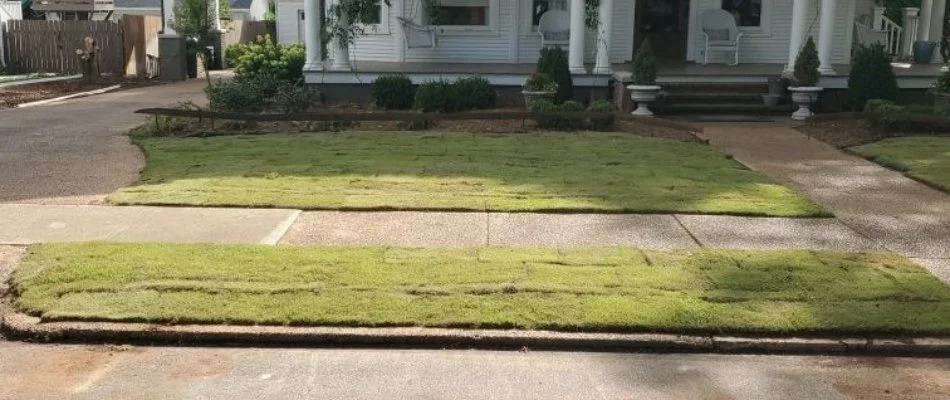 Newly installed sod in Huntsville, AL.