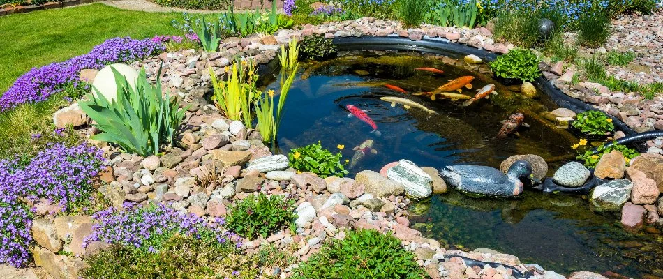 Plants around a koi pond in Huntsville, AL.
