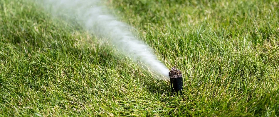 Sprinkler head in Huntsville, AL, during an irrigation blowout.