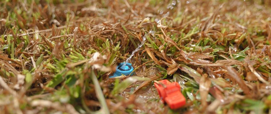 Sprinkler head of an irrigation system in Huntsville, AL, with low water pressure.