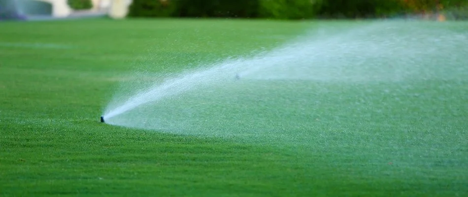 Sprinkler irrigation head on a lawn in Huntsville, AL.