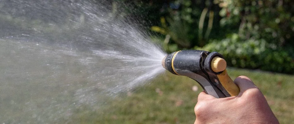 Watering grass in Huntsville, AL, using a spray hose.