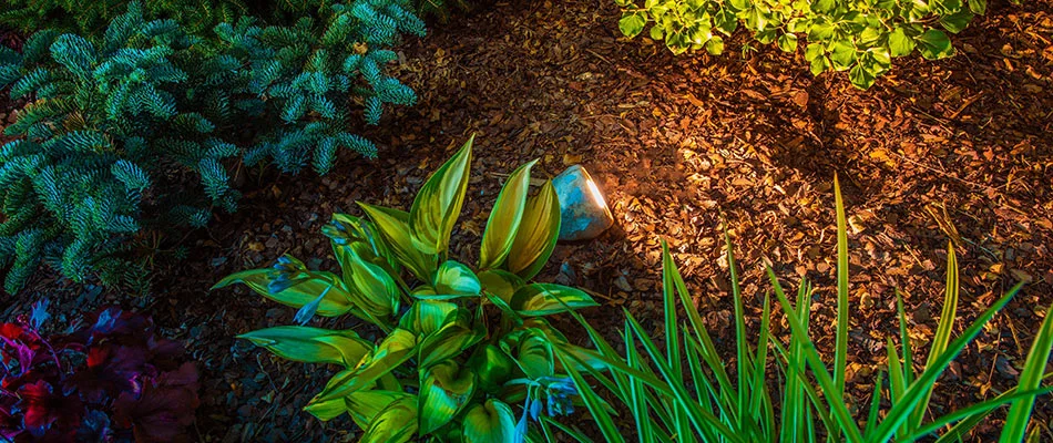 Accent lighting technique to landscape bed in Winchester, TN.