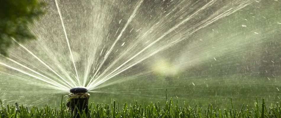 Closeup of a running sprinkler head on a lawn in Elora, TN.