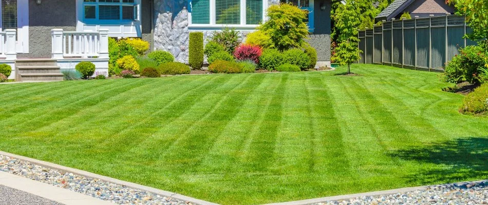 Freshly mowed green grass with shrubs in McMullen Cove, AL.