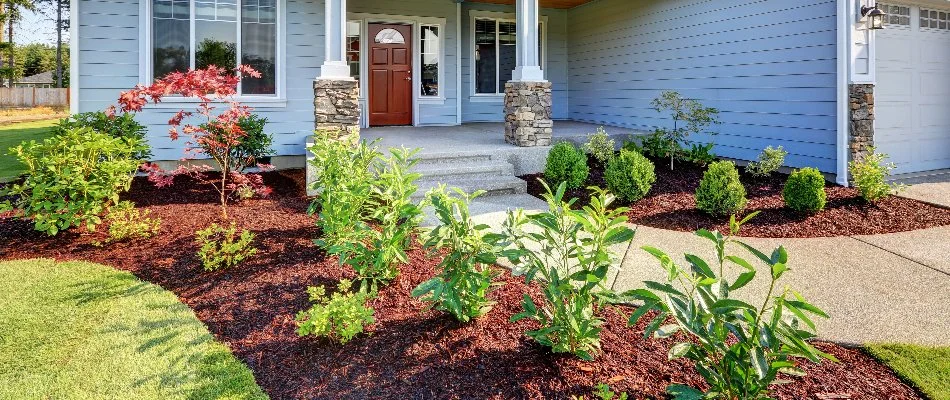 Front landscape in Hobbs Island, AL, with plants and a blue house.