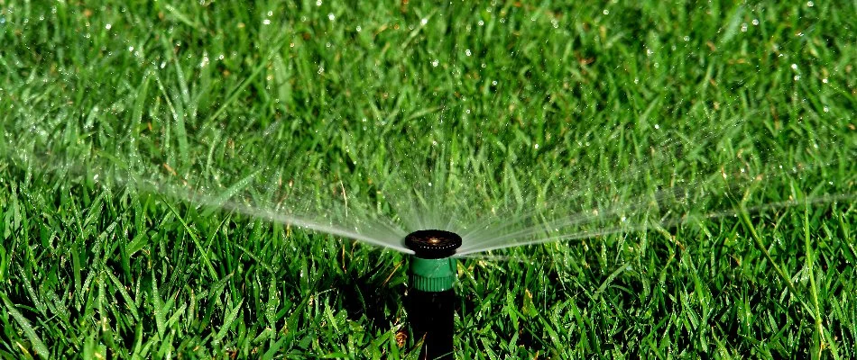 Green grass with a running sprinkler head in Estill Springs, TN.