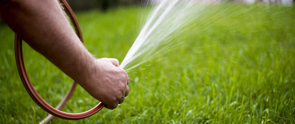 Homeowner watering newly installed sod in Fayetteville, TN.