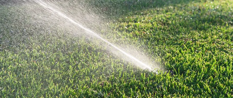 Irrigation sprinkler head watering grass in Kelso, TN.