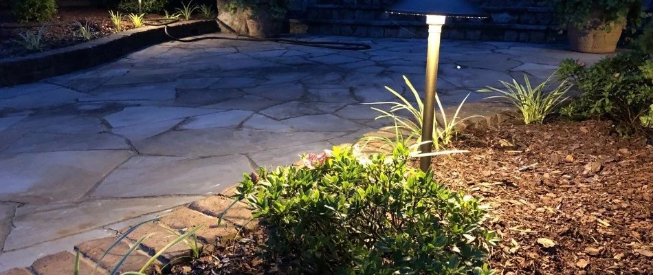 Landscape bed in Belleville, TN, with lighting, mulch, and a plant.