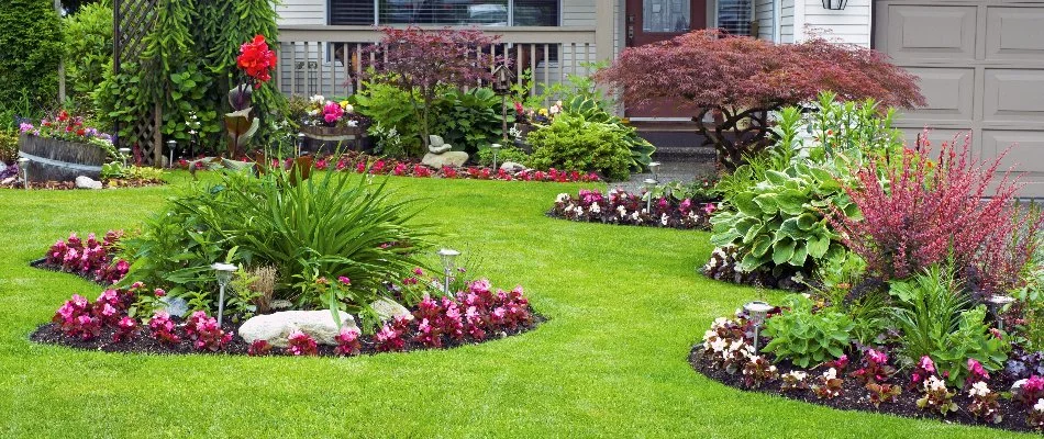 Landscape beds in Kelso, TN, with flowers and plants.
