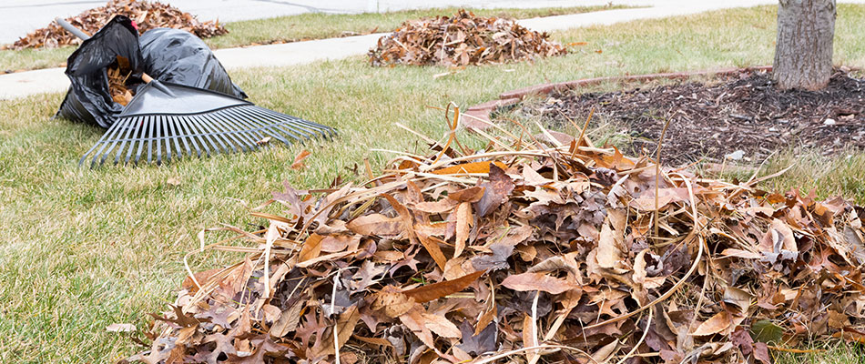 Leaf piles set beside bags and rake in Winchester, TN.