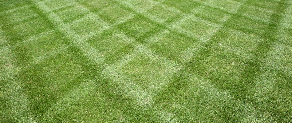 Mowed lawn with patterns added in Madison, AL.