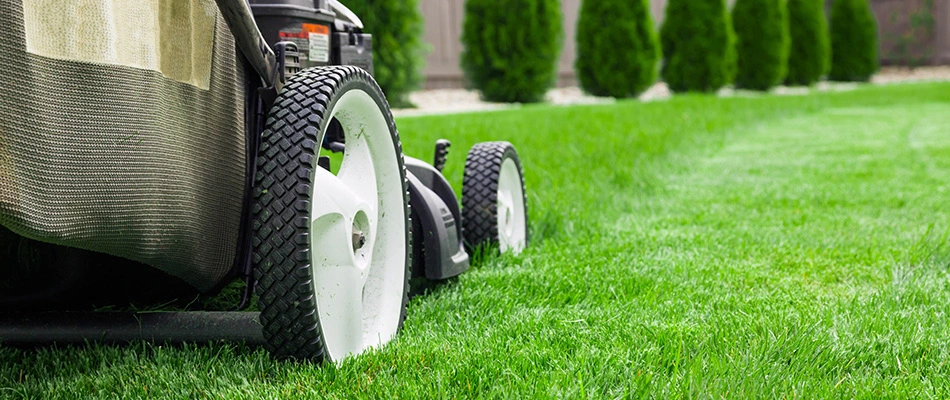 Mower servicing a lawn in Winchester, TN.