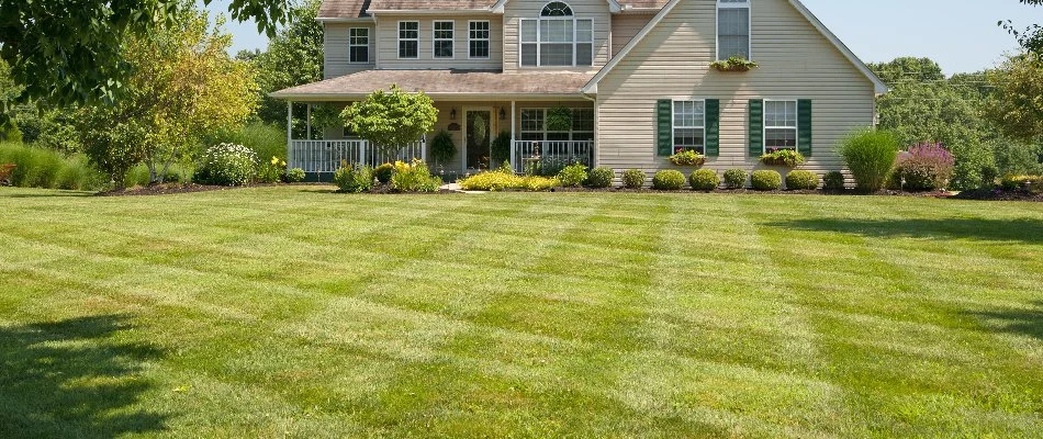 Mowing pattern on a lawn in Oakland, AL.
