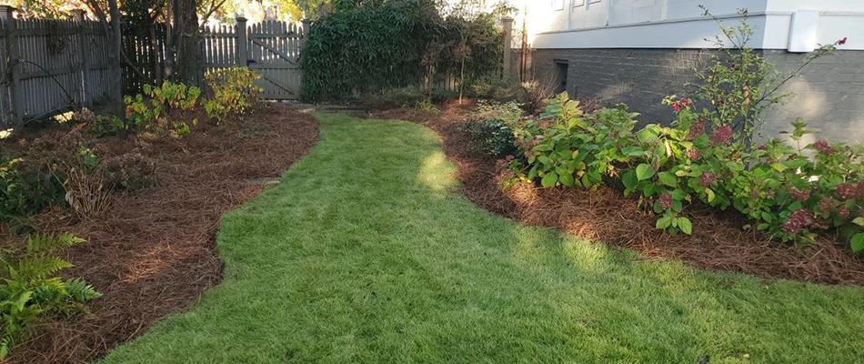 Mulch installed for landscape bed in Fayetteville, TN.