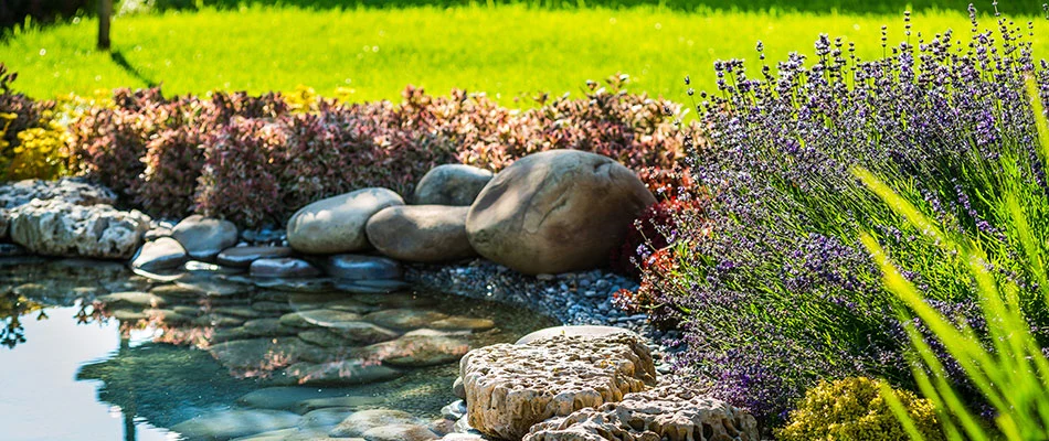 A pond installed in backyard in Fayetteville, TN.