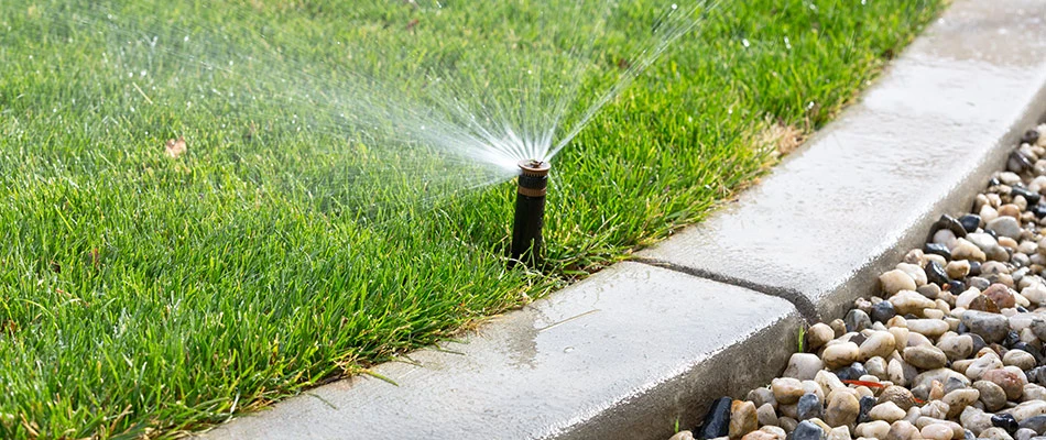 A sprinkler newly installed watering a lawn in Huntsville, AL.