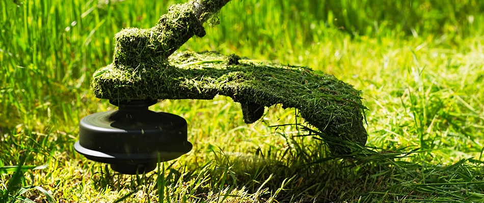 String trimmer in lawn for mowing service in Hazel Green, AL.