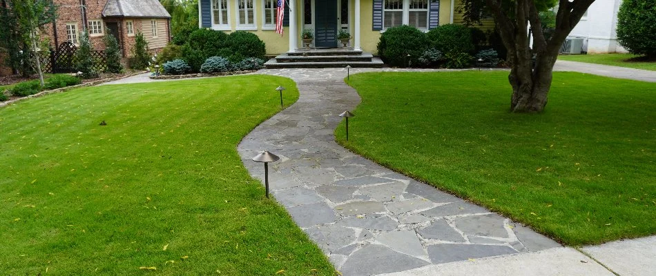 Walkway through a front lawn with lighting in Elora, TN.